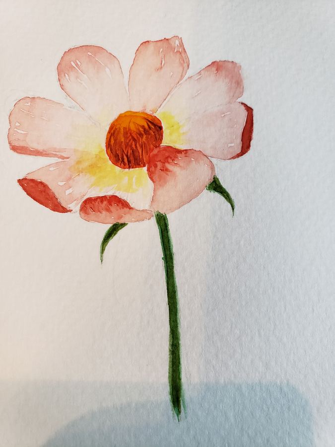 Still life sketch