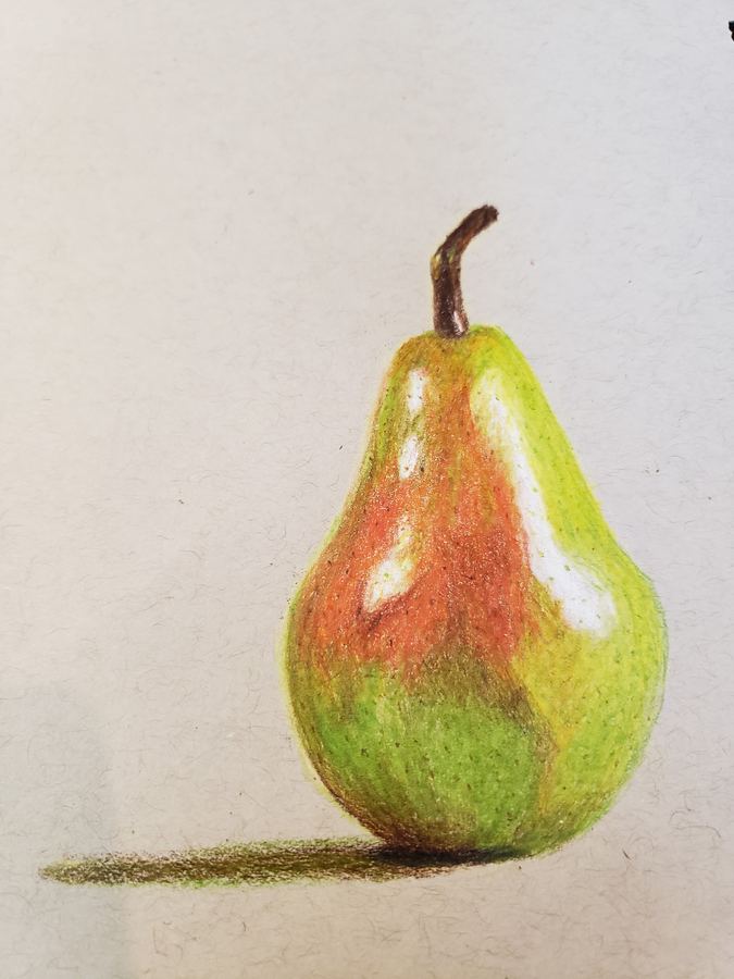 Still life sketch