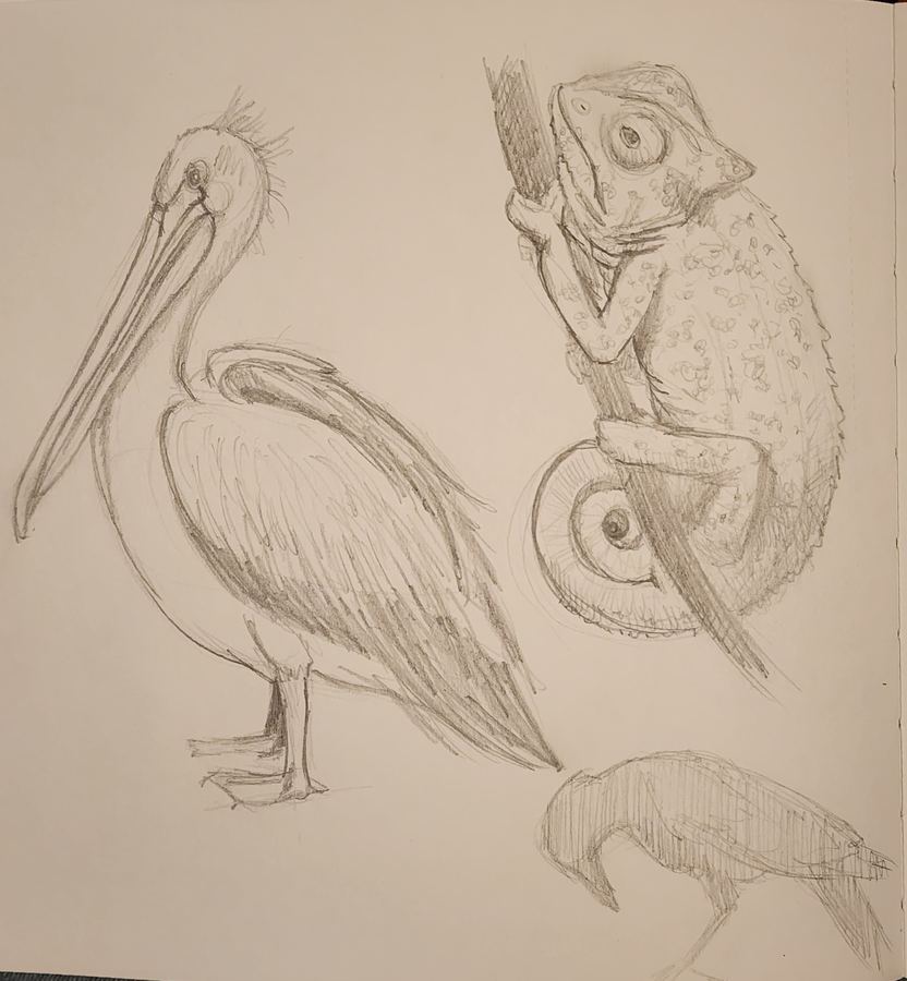 Still life sketch
