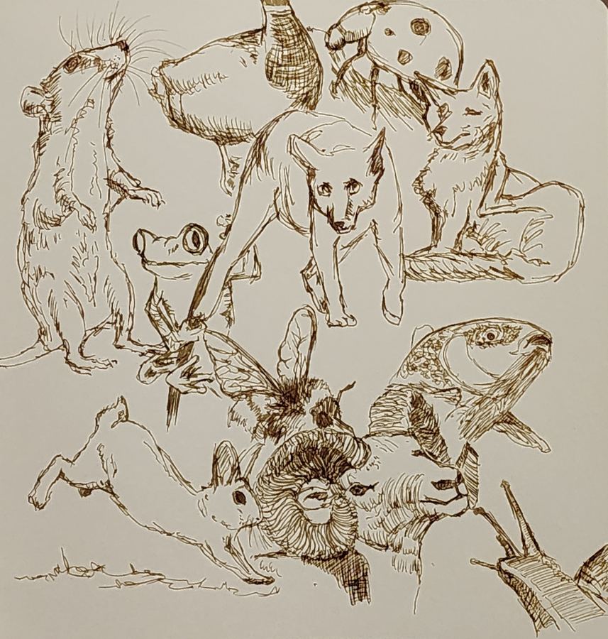 Still life sketch
