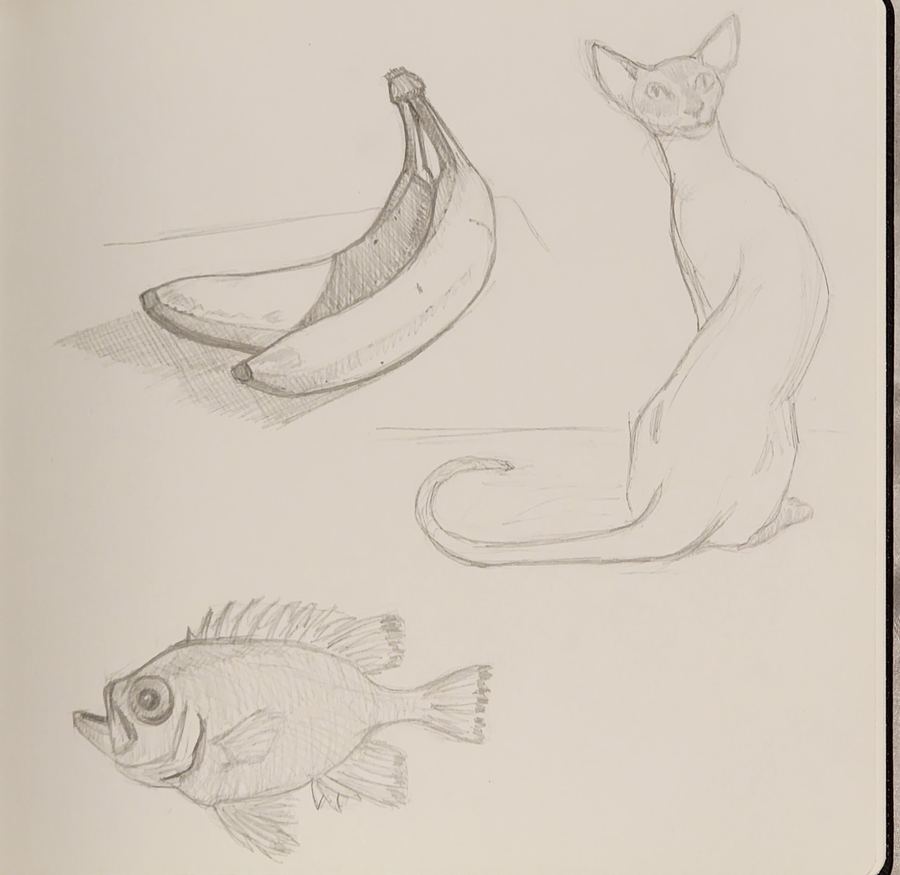 Still life sketch
